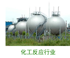 化工反應行業案例