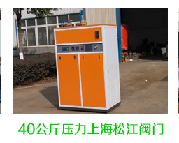 40公斤壓力上海鬆江閥門