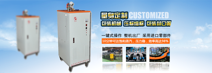 12-24kw機械包裝小型蒸汽發生器