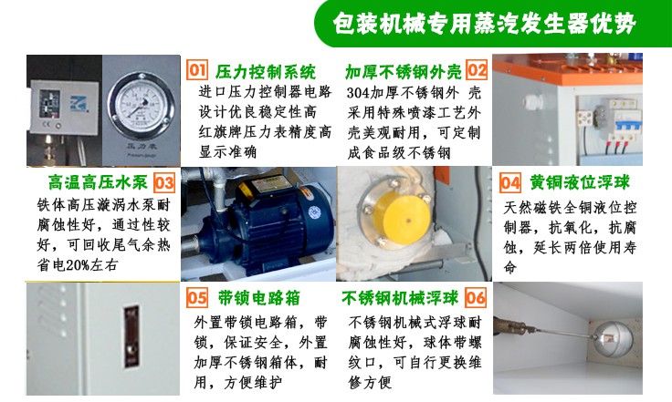 12-24kw機械包裝小型蒸汽發生器細節