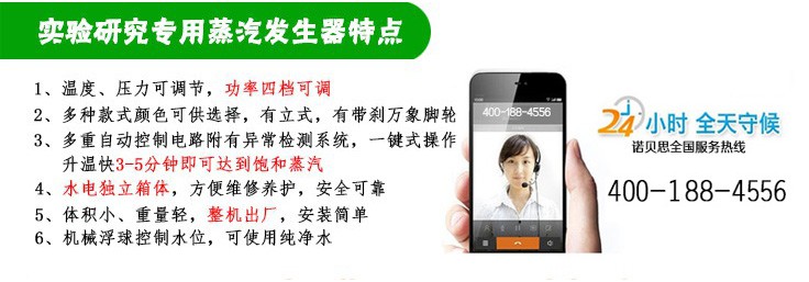 3-12kg/h實驗研究小型蒸汽發生器特點