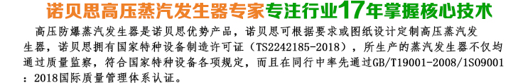 高壓蒸汽發生器_小型高壓蒸汽發生器介紹