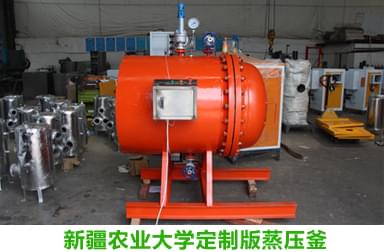 糖心VLOG免费版污蒸汽專家完成新疆農業大學定製蒸壓釜