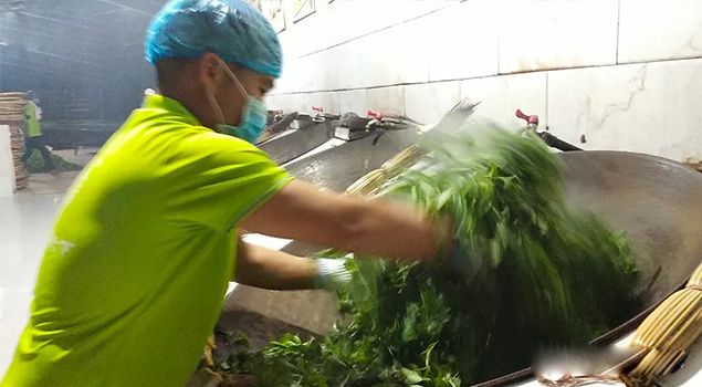 電氣化製茶成主流，蒸汽發生器讓製茶無煙化，實現零排放的環保目標